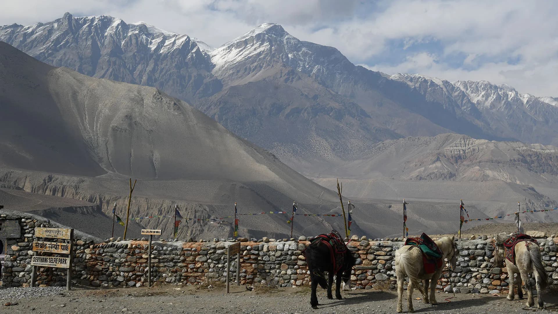 Selfie Park in Mustang